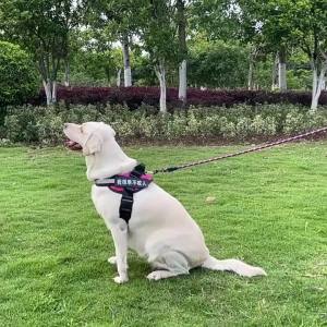 1.2/3M Pet Reflective Leash Nylon Round Leash Explosionproof Punch Leash Dog Walking Round Leash Without Strangulation