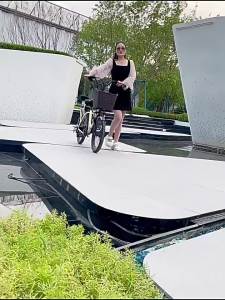 2025 Feige Electric Bicycle New National Standard Lithium Battery Lightweight Pedal Assist Elderly Mobility Electric Bike Electric Bicycle