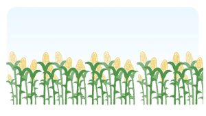 Polymaker LW-PLA Lightweight Pre-Foamed 3D Printer Filament 1.75mm Good for Printing RC Plane High Rigidity & Easy to Paint 1kg