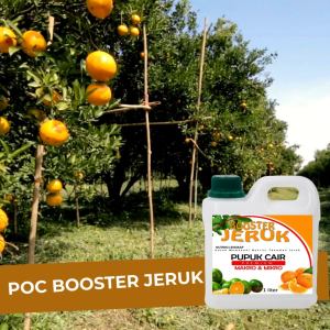 Pupuk Jeruk 1 liter Booster Penyubur Pohon Jeruk Cepat Berbunga Berbuah Lebat dan Manis