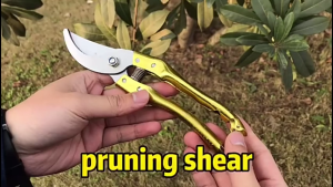 Kéo Cắt Cành Lưỡi Thép Cong Cán Kim Loại Màu Vàng Đuôi Có Khóa Chốt An Toàn Đi Kèm 1 Lò Xo Dự Phòng Tiện Lợi