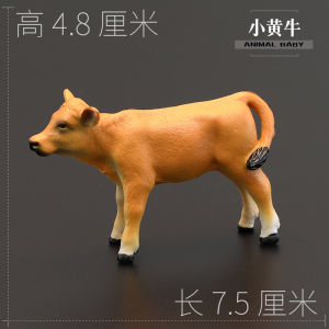 ของเล่นสัตว์จำลองของจริงสำหรับเด็กโมเดลสัตว์โมเดลวัวสีเหลืองของตั้งโชว์ของขวัญเสริมทักษะการเรียนรู้ตุ๊กตาวัวเลี้ยงวัว