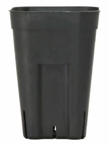 Plastic Flower Pot for Succulent Plants Bulb Gardening Potted Plants Cactus Propagation Tray Ivory Palace Leafy Green Plants