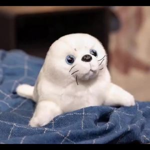 Dropshipping Soft Cute Seals Plush Toy Sea World Animal Sea Lion Plush Stuffed Doll Big Eyes Baby Birthday Gift for Kids Girls