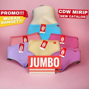 CD WANITA JUMBO 5L WARNA WARNI CANTIK MERK MIRIP LUSINAN