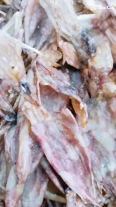 ปลาหมึกแกะตาสวยอย่างดี