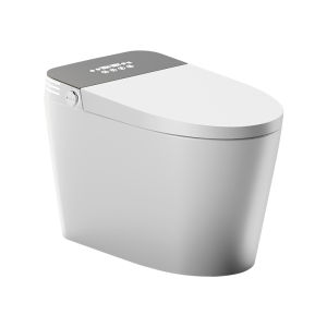 TEM | Female Frontal Washing UV Sterilization and Odor Removal Smart Toilet