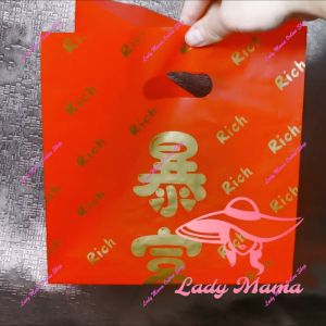 Gift Bags Chinese New Year Best Wishes Goodies Plastic Red Bags