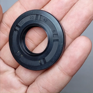 Seal Tc 20 42 6 Nok Original Nok INB JOGJA