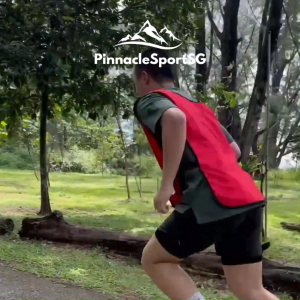 (SG) Pro Training Bibs Polyester Sports Vest Lightweight Quick Dry Football Basketball Team Practice Bibs