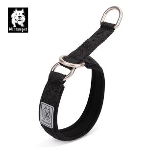 TRUELOVE | Winhye Nylon Webbing Dog Collar YC1851 with P-Chain Soft Durable Pet Accessory for Training Running Suitable for All Dogs