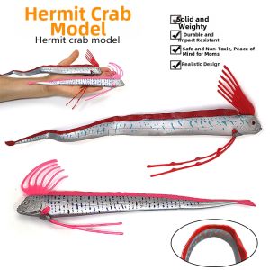 Mô Hình Động Vật Biển Giáo Dục