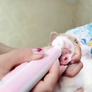 เครื่องตัดขนสุนัข ปัตตาเลี่ยนสุนัข ตัดขนสุนัข แบบชาร์จ USB ปัตตาเลี่ยนสุนัข ปัตตาเลี่ยนตัดขนเท้า กรรไกรตัดขนแมว ตัดขนอุ้งเท้า ซอกเท้า