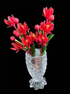 ดอกทับทิมดอกไม้ประจำนางสงกรานต์ปี 2568