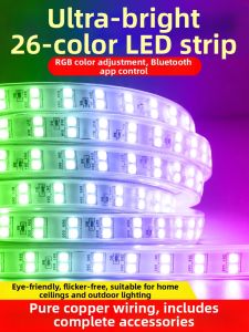 jiuxin lighting | Bright Multi-color Smart Remote Neon Light Strip