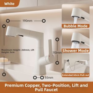 QIANMUYU | Full Copper Adjustable Pull-Down Faucet