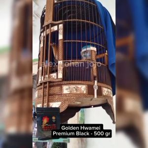 Makanan burung Golden Hwamei Black untuk burung wambi anis murai batu cendet poho kacer dll 500 gram