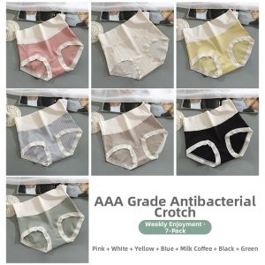 Travel Season | Disposable Sterile Cotton Underwear 1 pcs
