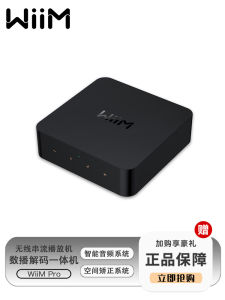 WiiM pro HiFi Music Player Lossless Audio DAC Decoder Integrated Machine High End Audio Equipment from Guangdong China