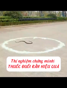 Bột Sinh Học Đuổi Rắn Rết Thái Lan SNAKE RUN 500g - Xua Đuổi Hiệu Quả Nguồn Gốc Thảo Mộc Tự Nhiên - Hiệu Quả 90 Ngày