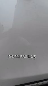 【APEX.Auto Detailing】Car Bug & Tar Remover 500ML