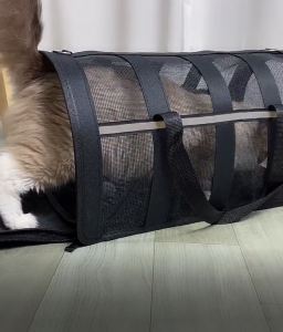 [ PAPAYA GROUP ] Pet Breathable Bag M Size ( 49cm x 28cm x 27cm ) - Pet Breathable Foldable Travel Carrier Bag Beg Kucing / Bag Kucing / Cat Travel Bag / Pet Travel Bag /  Dog Travel Bag / Dog Breathable Bag / Cat Breathable Bag