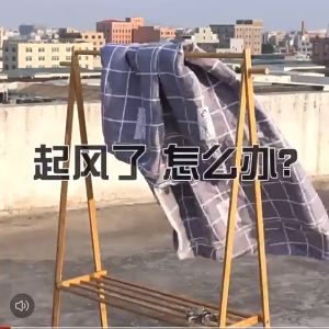 Stainless Steel Windproof Clothes Pegs: A Comprehensive Guide