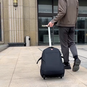 Business Trolley Laptop Backpack Bag with 2 Wheels | Cabin Travel Luggage Waterproof Backpack for Men & Women | School & Student Rolling Bag