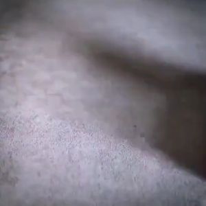 [HAKO PETSHOP] Roller Pembersih bulu Kucing dan Anjing Roller Pembersih Pakaian Bulu Hewan