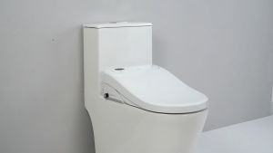 Smart WC Arc 20226ST PUB Approved