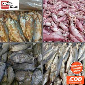 ikan asin serba 250gr. aneka ikan asin murah dan fresh