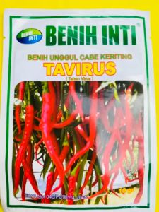 Benih Cabe Keriting TAVIRUS produk dari BENIH INTI kemasan 10gram