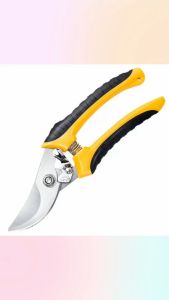 kebun taman tanaman cutter pruning Pemotong Ranting shear pruner branch gunting bonsai cut scissor