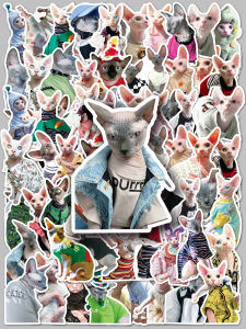 Waterproof Cat Themed Stickers for DIY Notebook And Mobile Phone Album Decoration Cute Hairless Cat Animal Decals Pack of 50