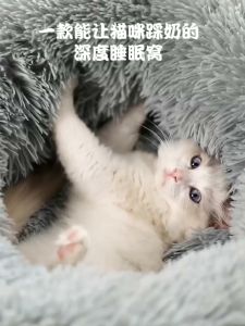 ที่นอนสัตว์เลี้ยง ที่นอนแมว ที่นอนหมา เบาะหมา Donut Pet Bed นุ่มสบาย ทนต่อการสึกหรอและทนทาน สำหรับแมวและสุนัข