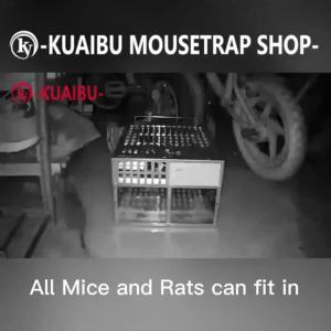 Mousetrap The mouse artifact Mouse trap for big rat is used to catch and kill the mouse nemesis trap and the mouse clip is fully automatic.