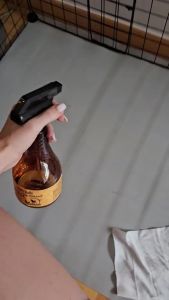 Xịt Khử Mùi Dưỡng Lông Chó BudleBudle 530ML