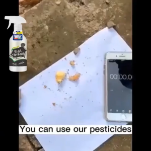 99% Ant Killing Rate | termites killer spray termites killer spray japan anay killer spray 500ML suitable for pregnant and infants safe and secure termite extermination spray termites pesticide for wood insects killer spray