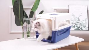 Pet carrier travel cage dog cat crates airline approved Breathable and durable to protect pets