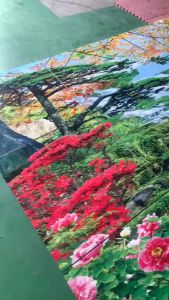 Tranh gạch 3d - gạch tranh 3d giá rẻ - HBVC4
