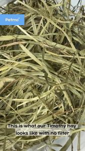 Timothy Hay Second Cut 5kg for Rabbit Guinea Pig Chinchilla and Other Small Pets