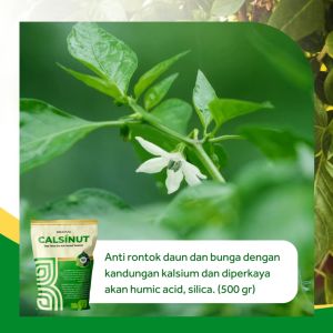 Pupuk Kalsium Anti Rontok Bunga dan Daun Larut Air Calsinut