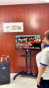 Loa Kéo Di Động Cao Cấp Karaoke MTMAX 1002 Bass 30 1 Trung1 Treble Công suất cực đại: 450-500W Hàng Nhập Chuẩn