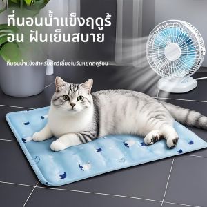 แผ่นรองน้ำแข็งเจลเย็นสำหรับแมวและสุนัข แผ่นรองน้ำแข็งสำหรับนอนในฤดูร้อน อุปกรณ์ลดความร้อนสำหรับสัตว์เลี้ยง อุปกรณ์ตกแต่งบ้านสำหรับแมวและสุนัข