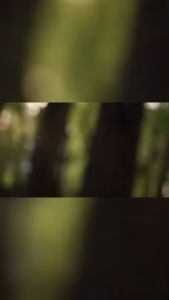 Kem trị mụn thảo dược Deleventh 18g Trị mụn Làm mờ vết thâm do mụn In sẹo mụn Kem làm sạch lỗ chân lông Làm sáng tông màu da Dưỡng ẩm và sửa chữa làn da