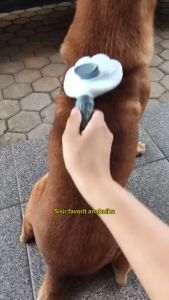Sisir Pembersih Bulu Hewan Multifungsi