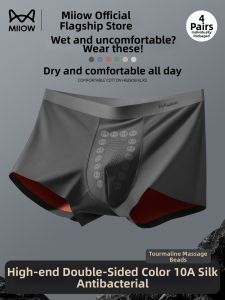 MiiOW | Moisture Wicking Antibacterial Breathable Underwear