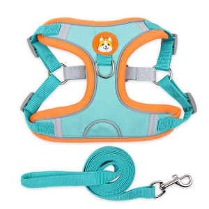 YCQPET | Reflective Dog Leash