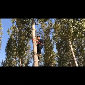 อุปกรณ์ปีนต้นไม้ รองเท้าปีนต้นไม้.เครื่องมือปีนต้นไม้ / เครื่องมือปีนเสา เข็มขัด นิรภัย ปีนเสา อุปกรณ์ปีนต้นไม้ รองเท้าปีนต้นไม้ อุปกรณ์ปีนต้นไม้/เครื่องมือปีนเสาเข็ม Coolthings