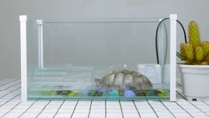 3 in 1 ตัวกรองน้ําตก ระดับต่ํา สําหรับชามเต่า กรองน้ำเต่า กรองตู้ปลาน้ำตื้น